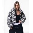 BOMBER ZEBRA TEDDY